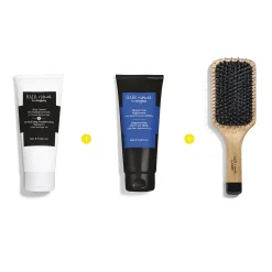 Hair Rituel by Sisley The Brush