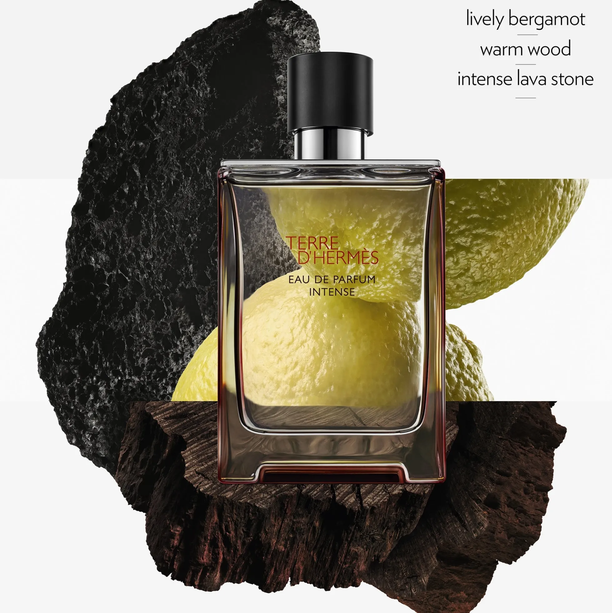 Hermès Terre d'Hermès Eau de Parfum Intense 50ml