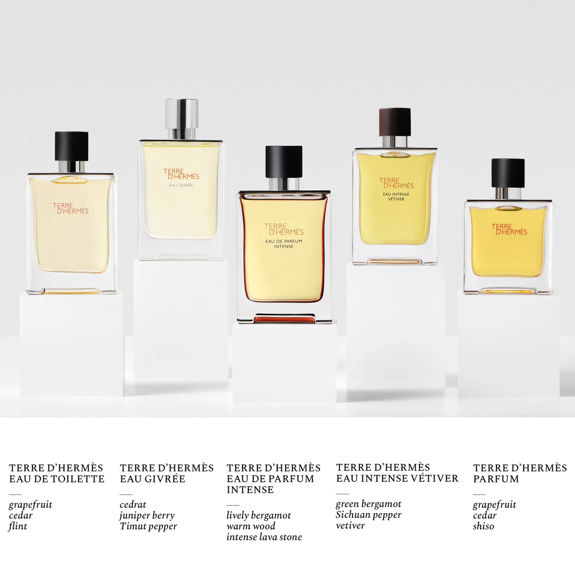 Hermès Terre d'Hermès Eau de Parfum Intense 50ml
