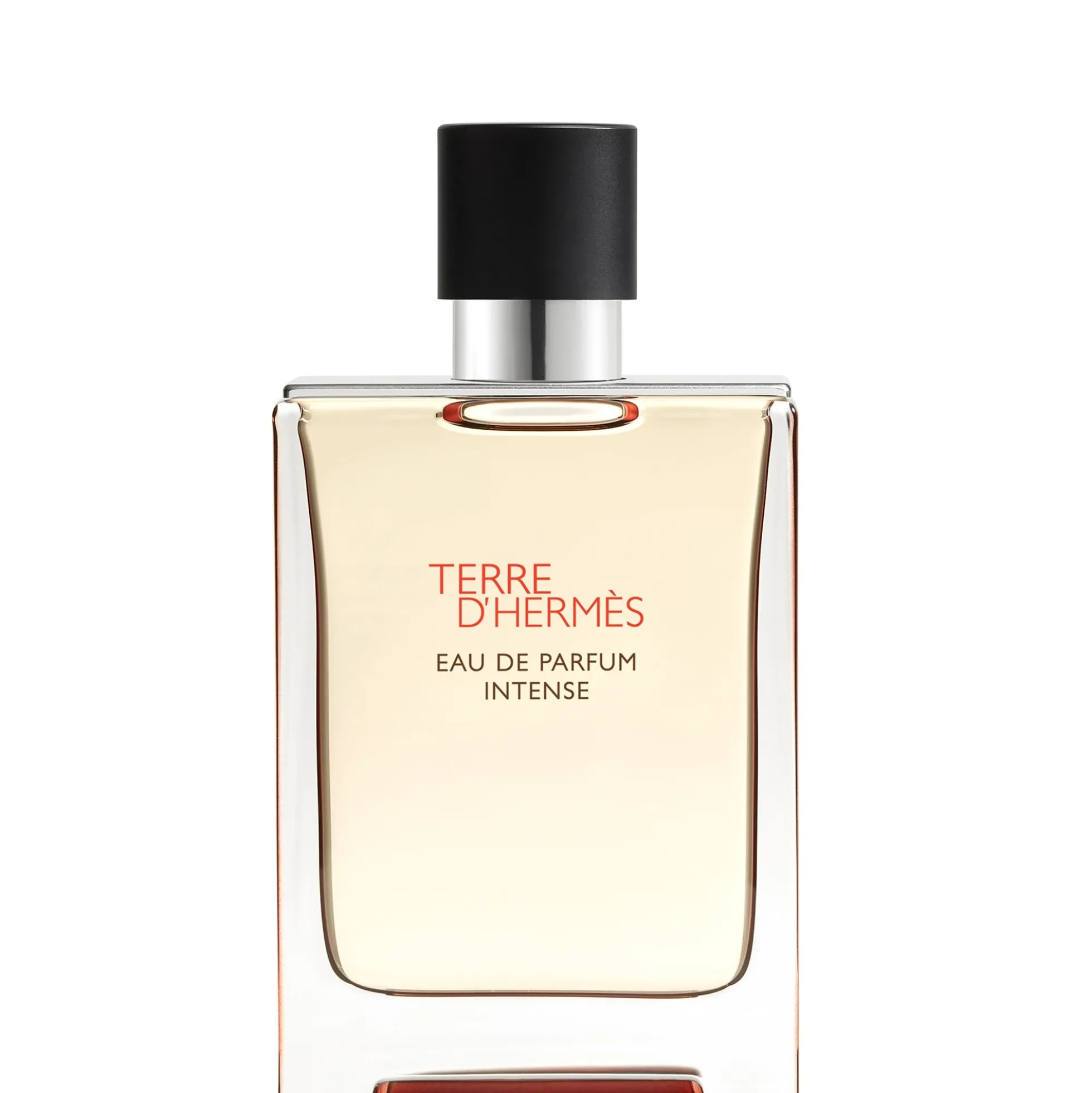 Hermès Terre d'Hermès Eau de Parfum Intense 100ml