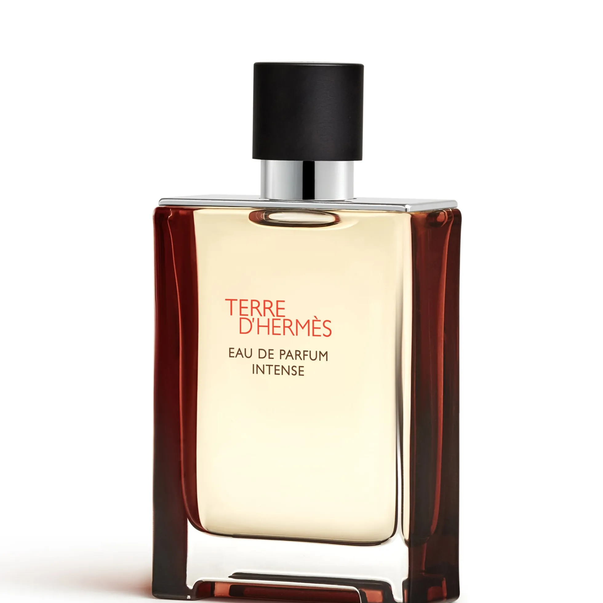 Hermès Terre d'Hermès Eau de Parfum Intense 100ml