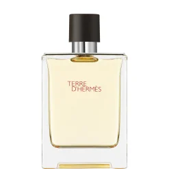 Hermès Terre d'Hermès Eau de Toilette 100ml