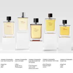 Hermès Terre d'Hermès Eau de Toilette 100ml