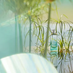 Hermès Un Jardin Sur Le Nil Eau de Toilette 50ml