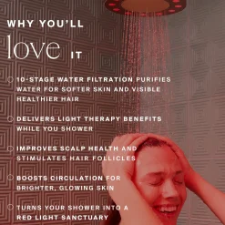 HigherDOSE Red Light Shower Filter - Polished Brass
