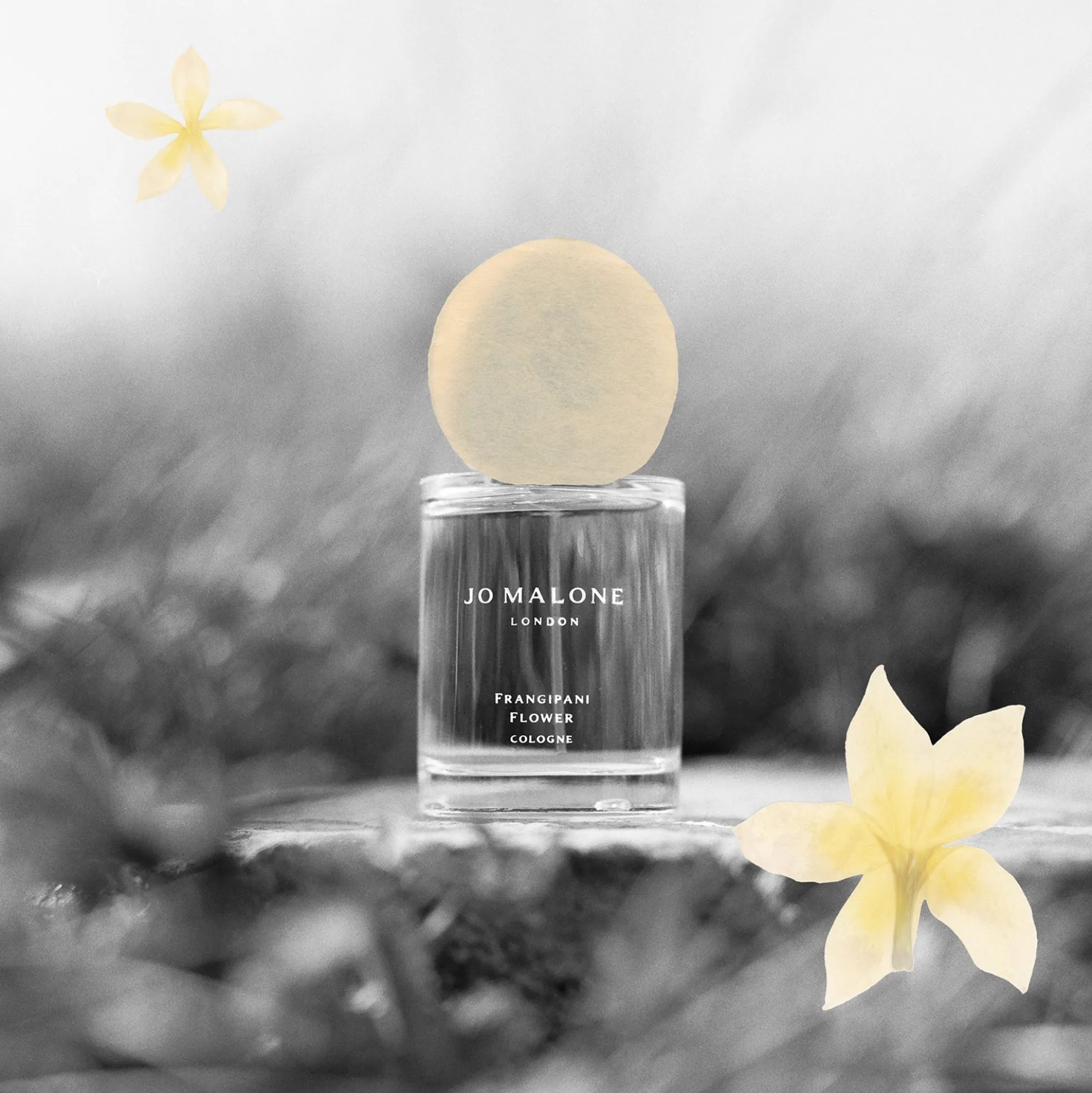 Jo Malone London Frangipani Flower Cologne 30ml