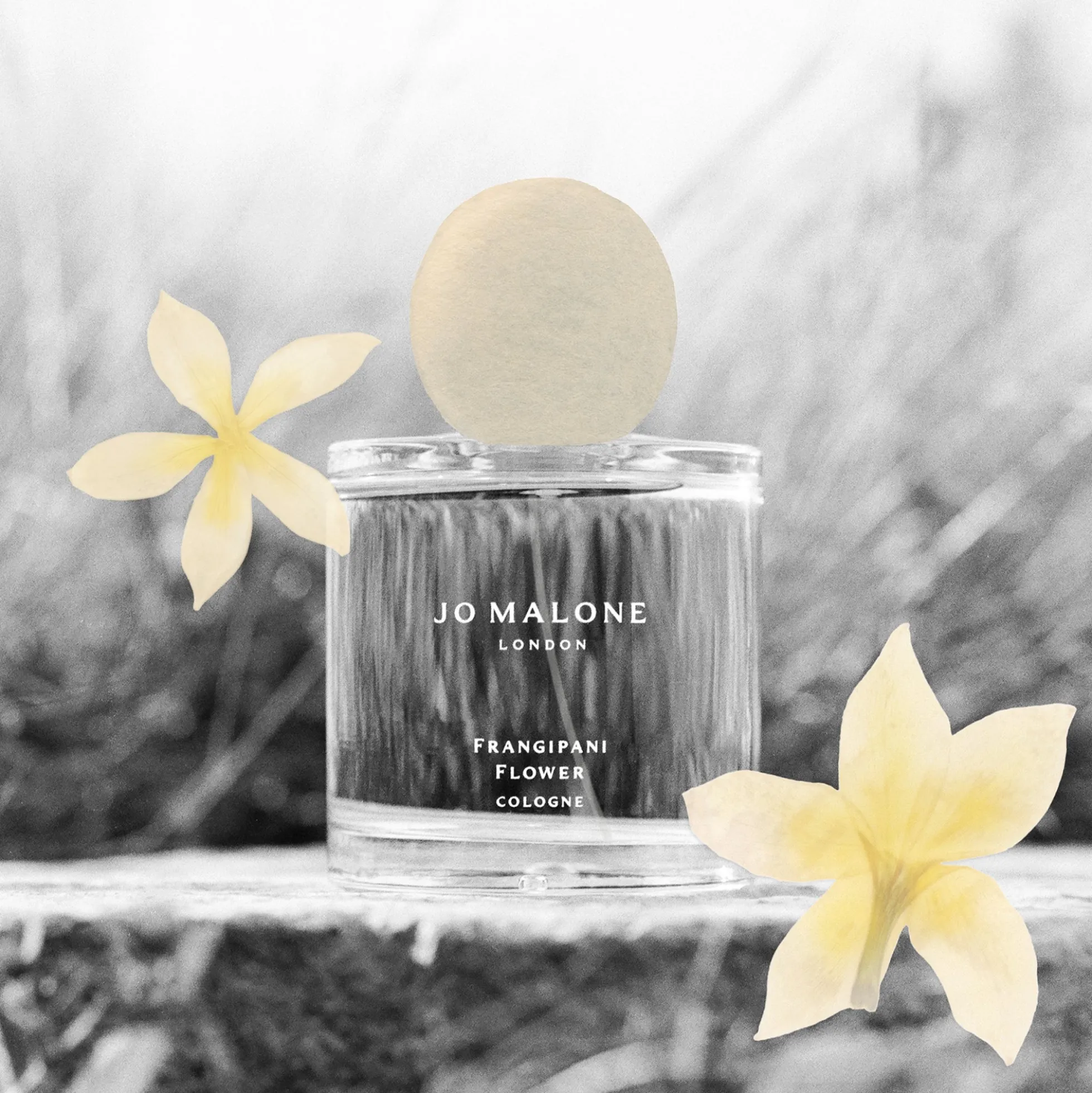 Jo Malone London Frangipani Flower Cologne 100ml