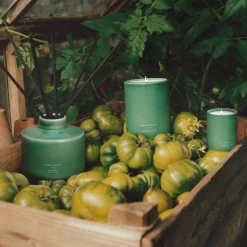 Jo Malone London Green Tomato Vine Candle 300g – Veggies Edition