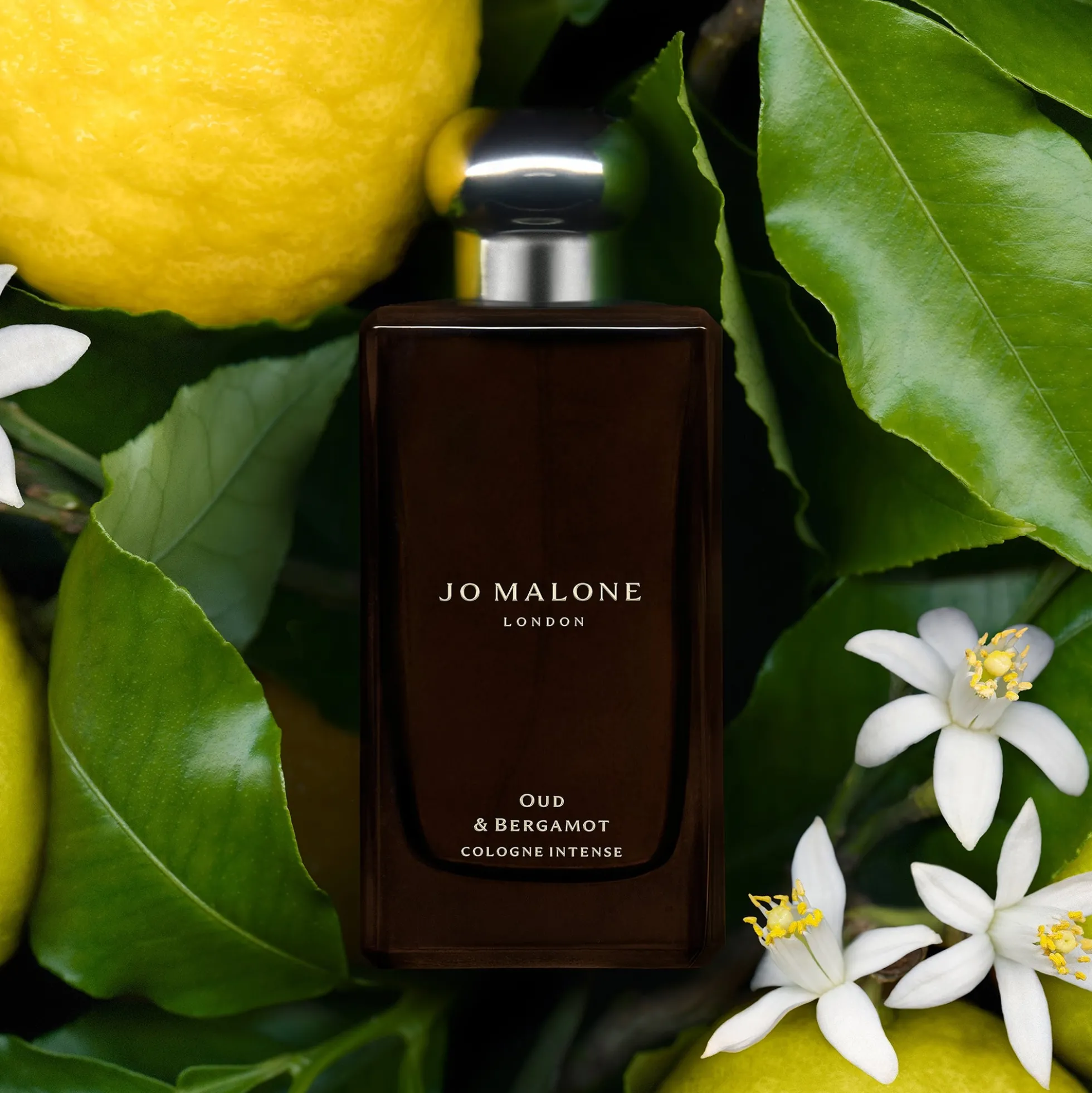 Jo Malone London Oud & Bergamot Cologne Intense 30ml