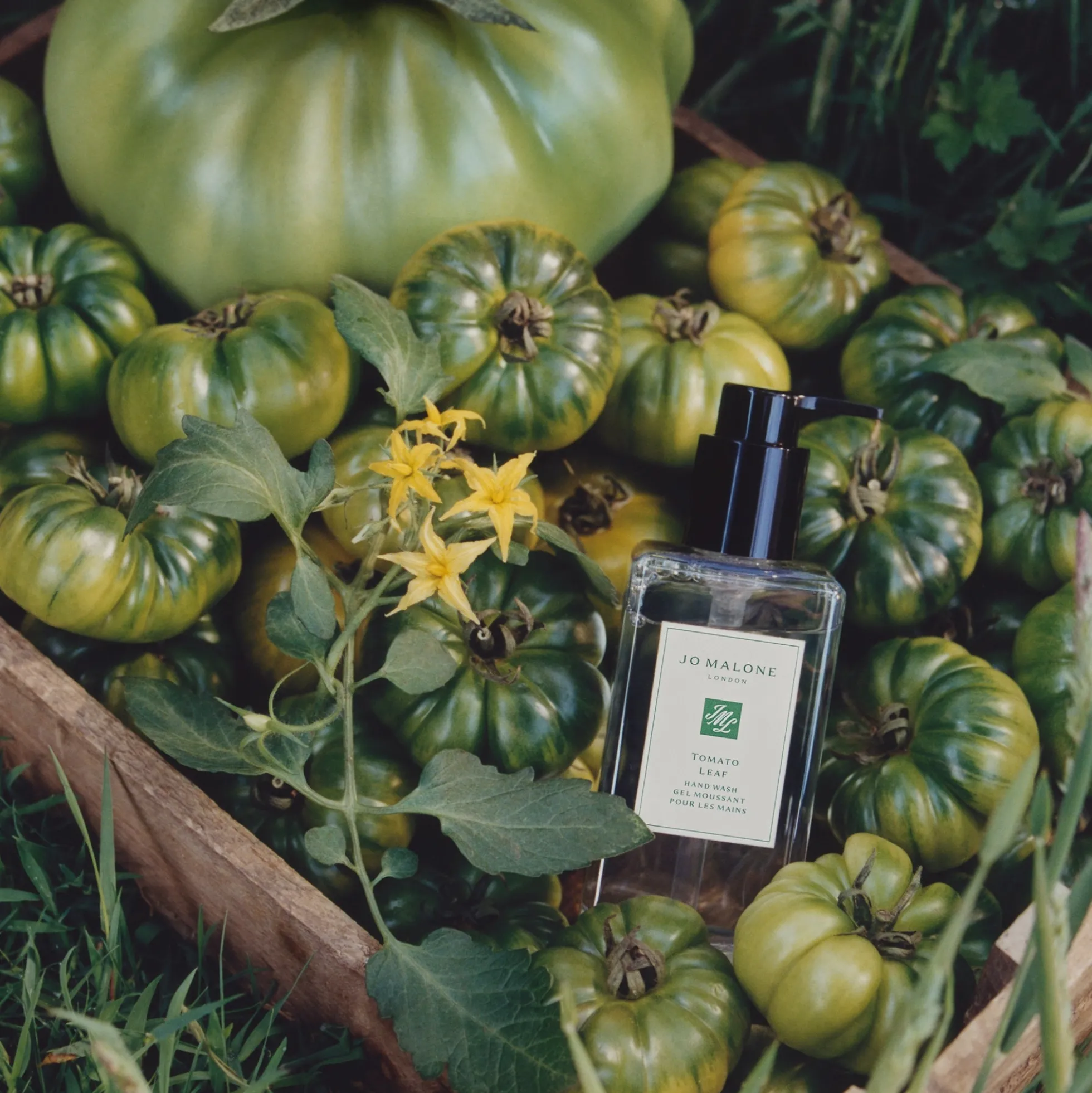Jo Malone London Tomato Leaf Hand Wash 250ml