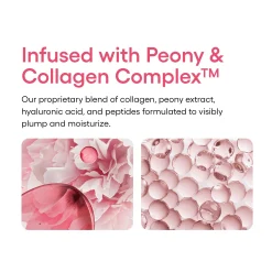 Laneige Bouncy Skin on the go Set