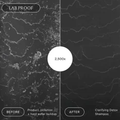 Living Proof Clarifying Detox Shampoo 60ml