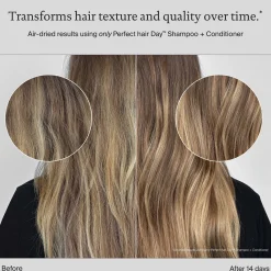 Living Proof The High Shine Edit for Dull, Dry Hair