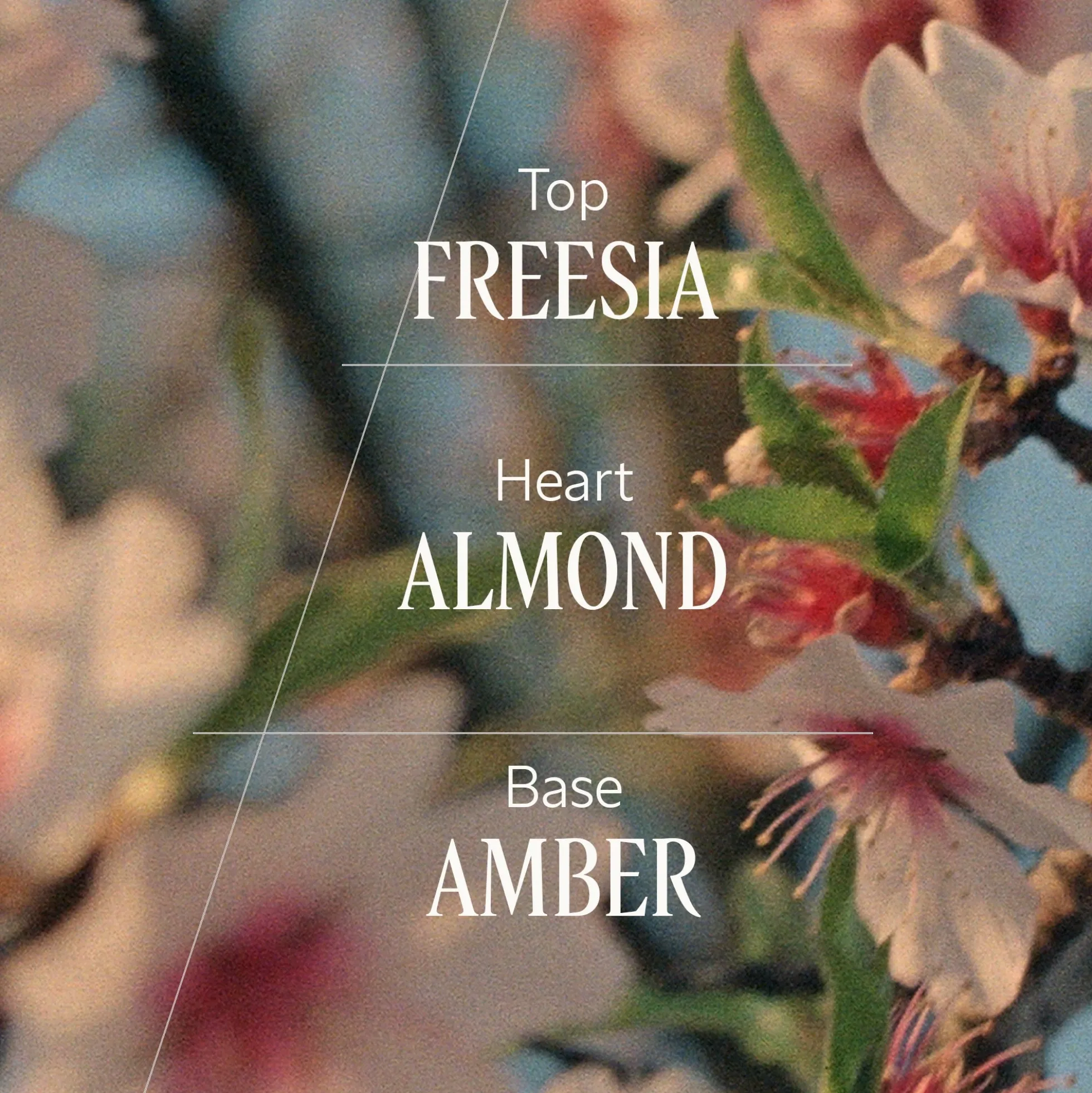 L'Occitane Amande (Almond) Body & Hair Mist 100ml
