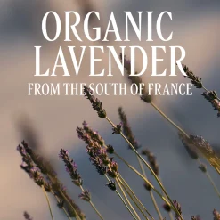 L'Occitane Lavande (Lavender) Foaming Bath 500ml