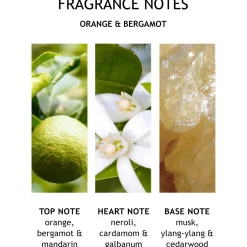 Molton Brown Orange and Bergamot Body Lotion 300ml