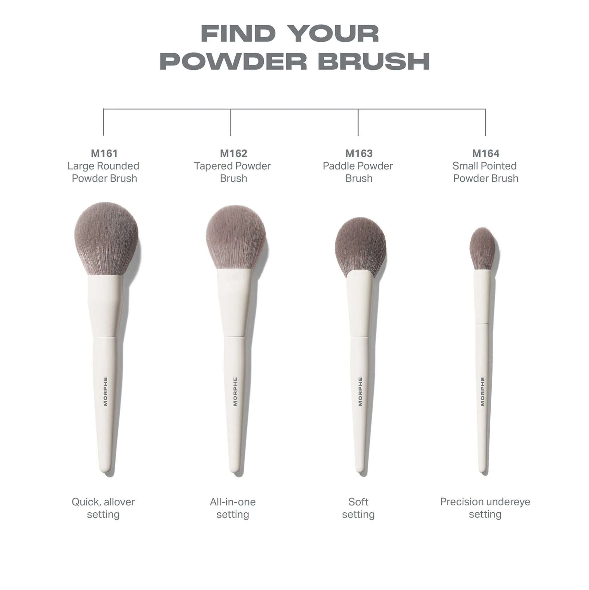 Morphe M161 Large Rounded Powder Brush
