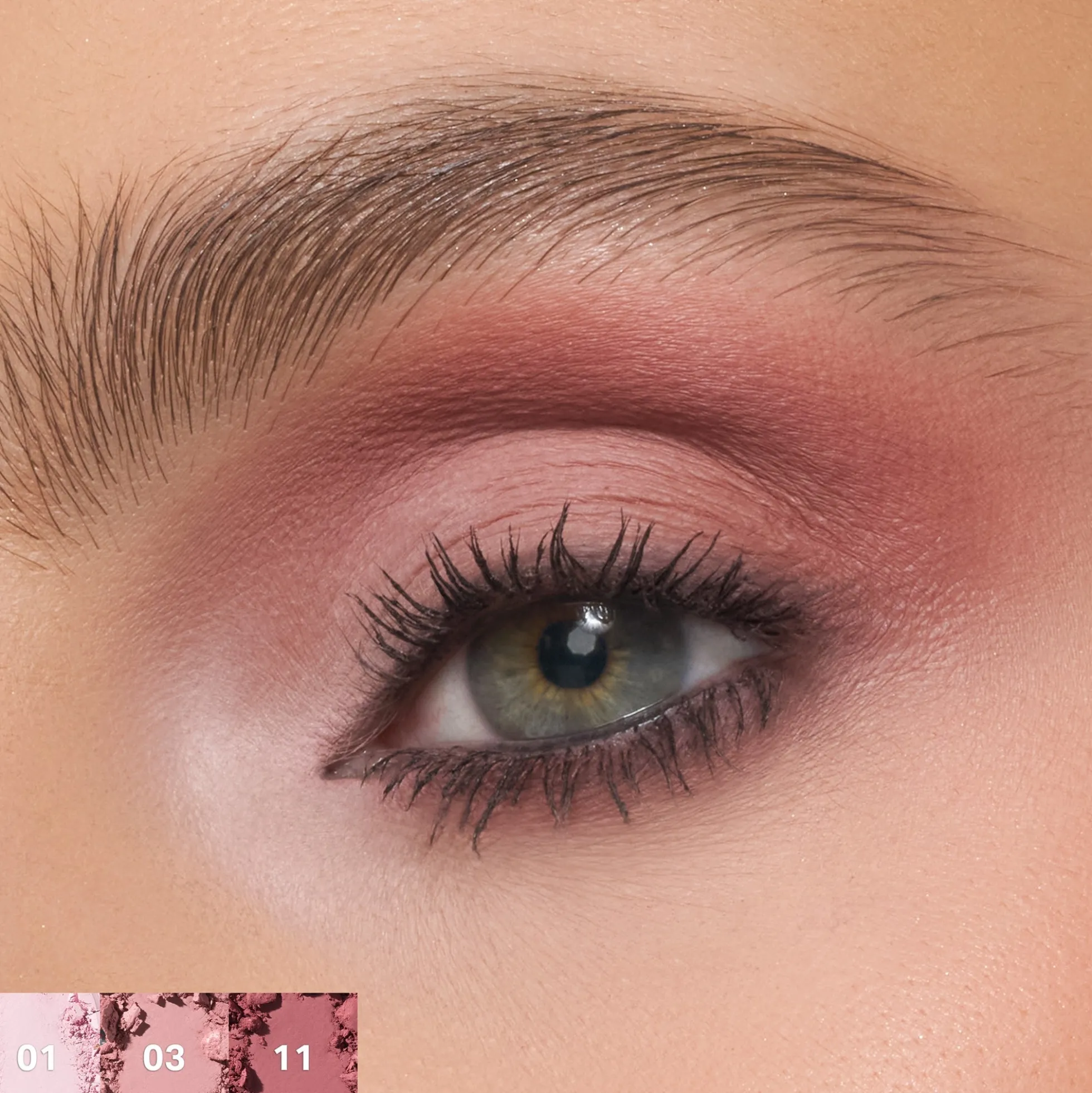 Morphe Rose Frequency Eyeshadow Palette