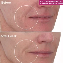 Murad Cellular Hydration Barrier Repair Cream 48g