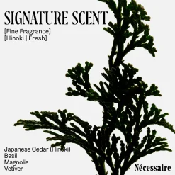 Nécessaire The Body Lotion Hinoki 450ml