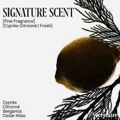 Nécessaire The Body Wash Cyprès-Citronné 500ml