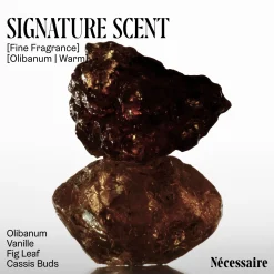 Nécessaire The Deodorant Oilbanum 75g