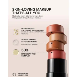 NUDESTIX Nudies Matte All Over Face Bronze Colour (Various Shades)