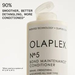 Olaplex Shampoo and Conditioner Jumbo Duo