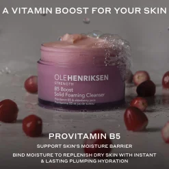 Ole Henriksen B5 Boost Hydrating Solid Foaming Gentle Cleanser