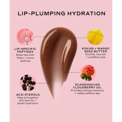 Ole Henriksen Cocoa Crème Glimmer Pout Preserve Peptide Lip Treatment 12ml