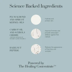Omorovicza Rejuvenating Night Cream 50ml