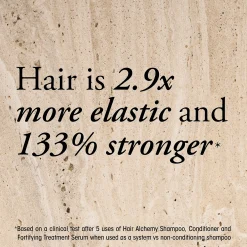 Oribe Hair Alchemy Discovery Set