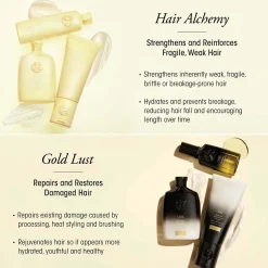 Oribe Hair Alchemy Resilience Shampoo 1L Refill