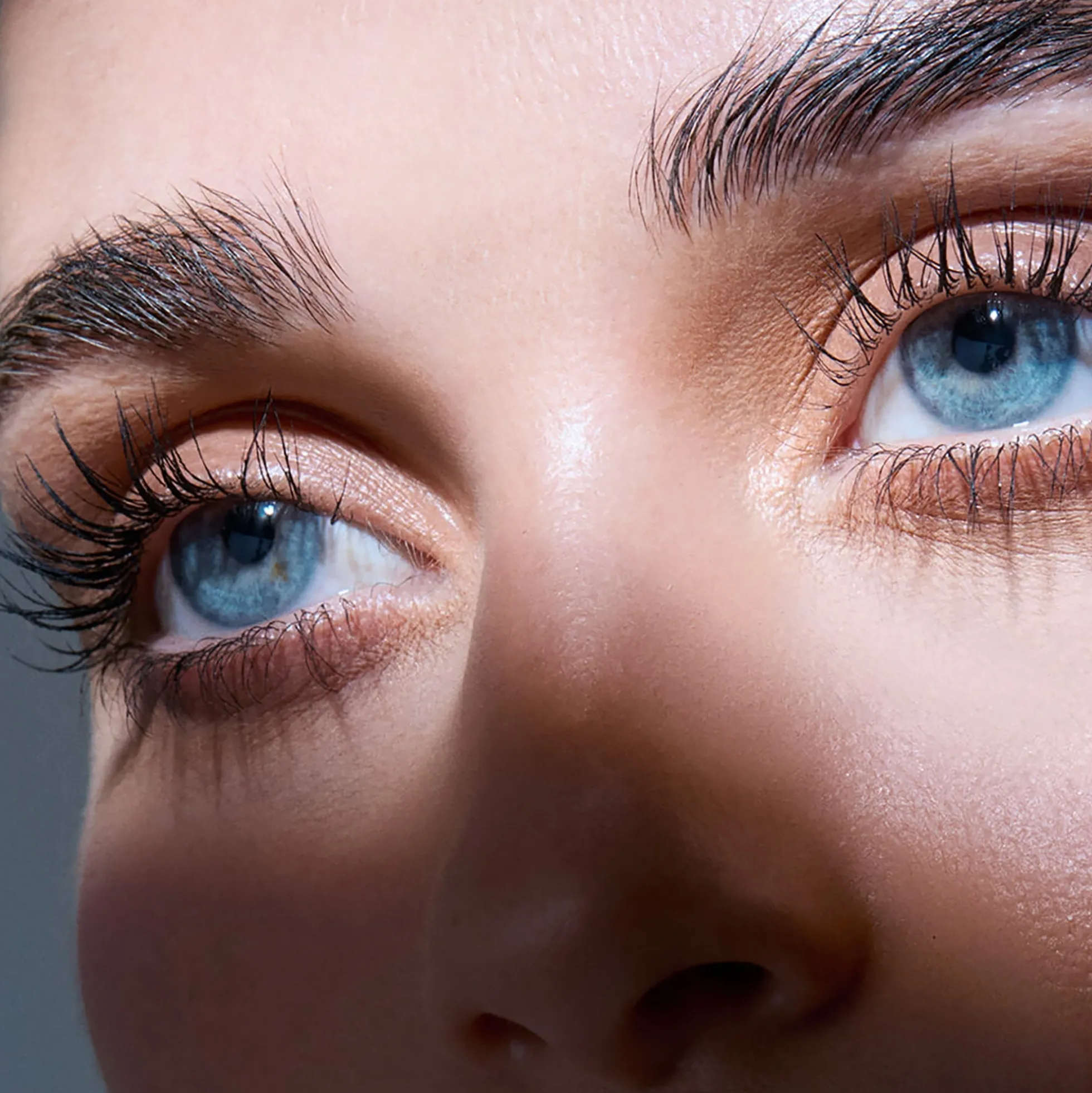 RevitaLash Lash & Brow Styler