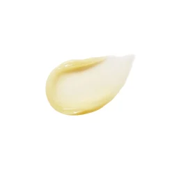 RMS Beauty Lipnights Overnight Lip Mask 9g