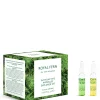 ROYAL FERN Ampoule Discovery Set
