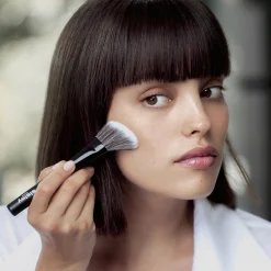 Sisley Paris Brushes Blush Brush