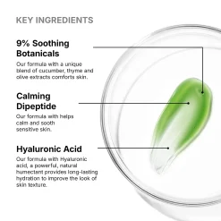 SkinCeuticals Phyto Corrective Masque Gel 60ml