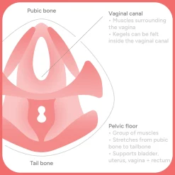 Smile Makers Pelvic Partner