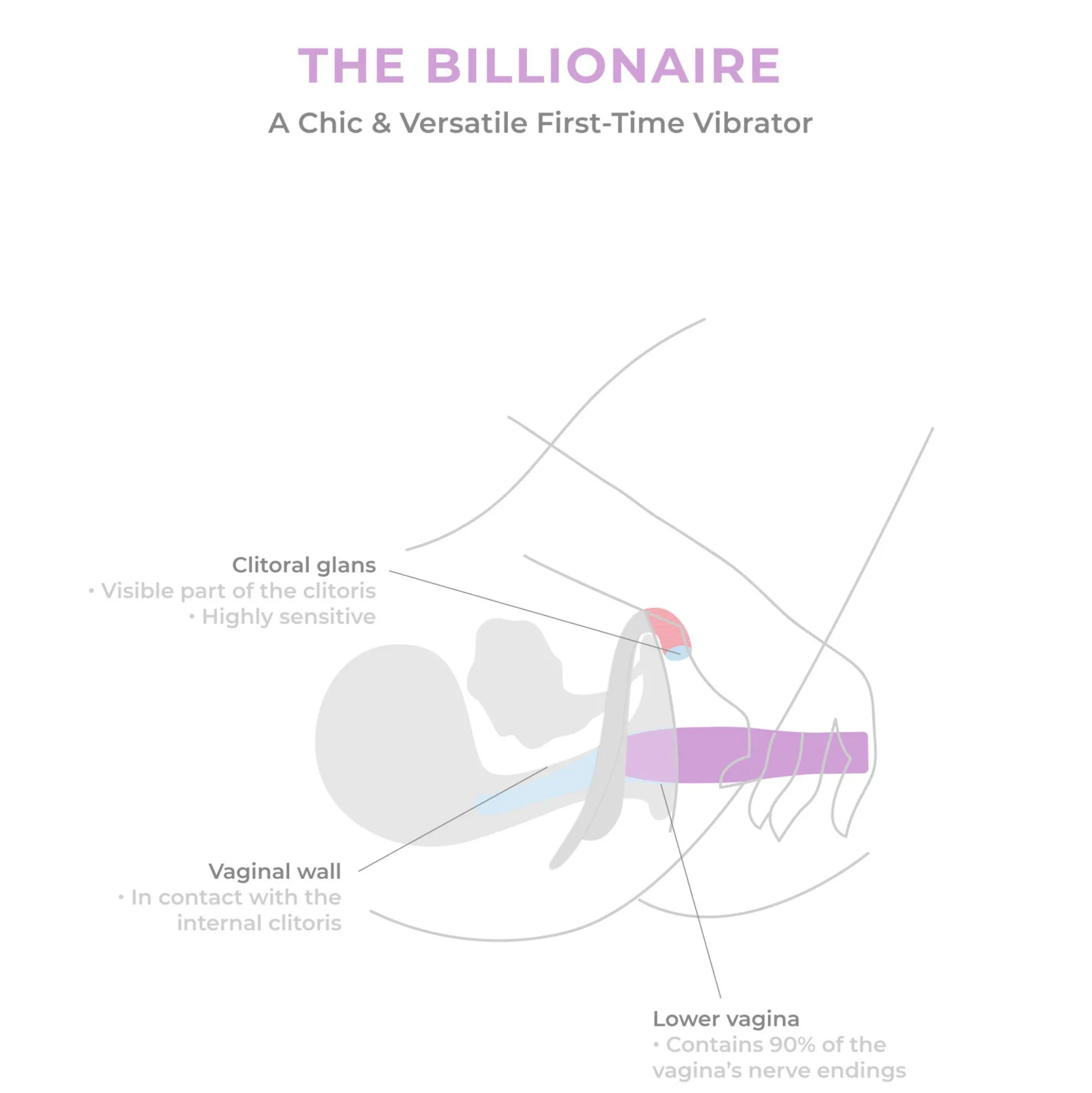 Smile Makers The Billionaire Versatile Vibrator