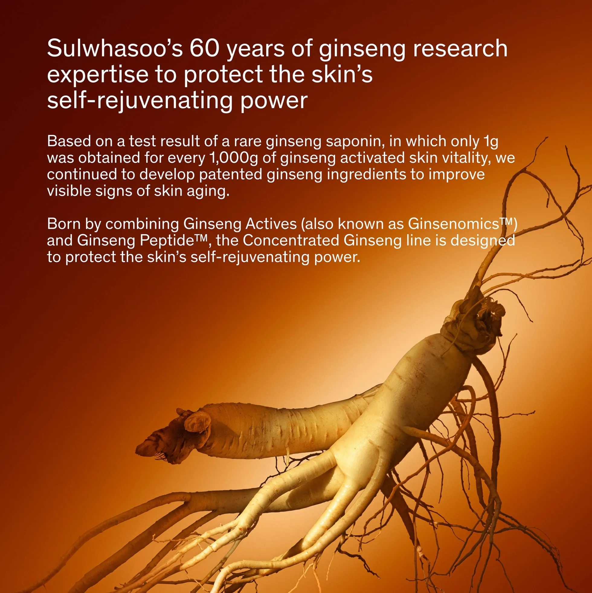 Sulwhasoo Concentrated Ginseng Rejuvenating Eye Cream 15ml