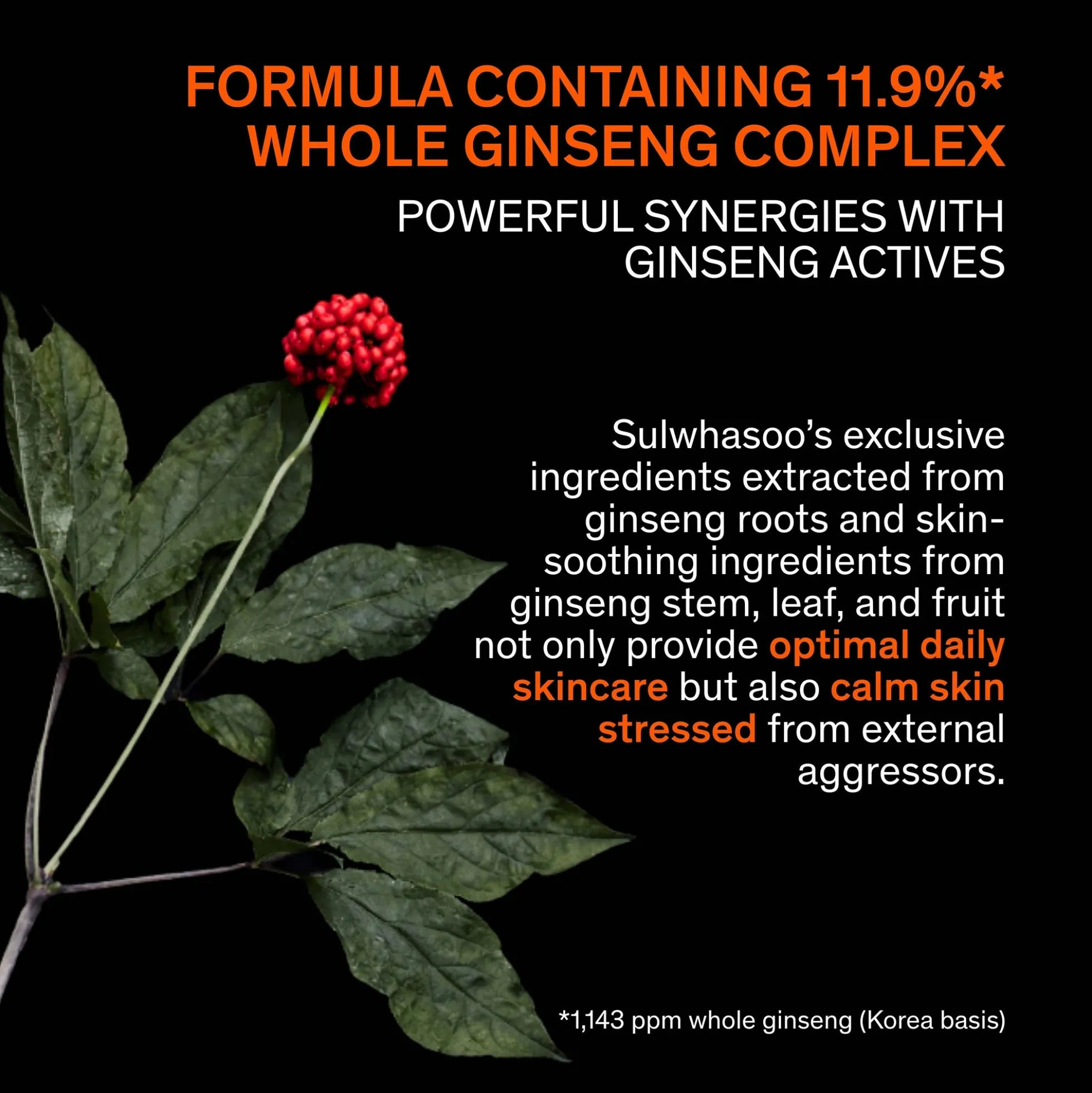 Sulwhasoo Concentrated Ginseng Rejuvenating Ampoule 20ml