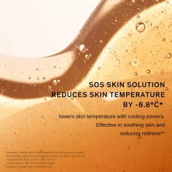 Sulwhasoo First Care Activating Mask (1 Sheet)
