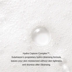 Sulwhasoo Gentle Cleansing Foam 200ml