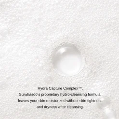 Sulwhasoo Gentle Cleansing Foam 50ml