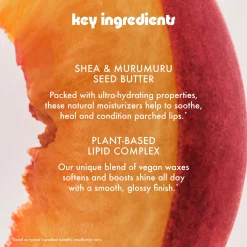 Summer Fridays Sweet Summer Minis