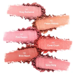 TEA TO TAN BLUSH POWDER N1