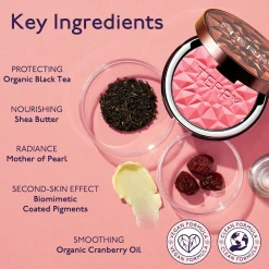 TEA TO TAN BLUSH POWDER N1