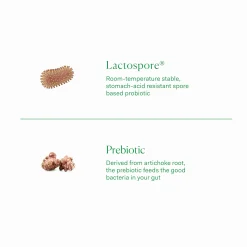 The Nue Co. Prebiotic + Probiotic (60 Capsules)