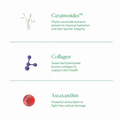The Nue Co. Skin Hydrator Collagen, Ceramide and Hyaluronic Acid Supplement (30 Capsules)